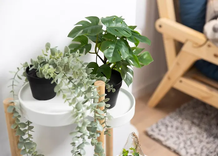 Artemis 公寓 里耶卡